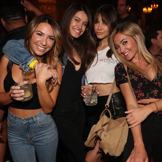 AMSTERDAM PARTY ANIMAL<BR> PUB CRAWL (private)